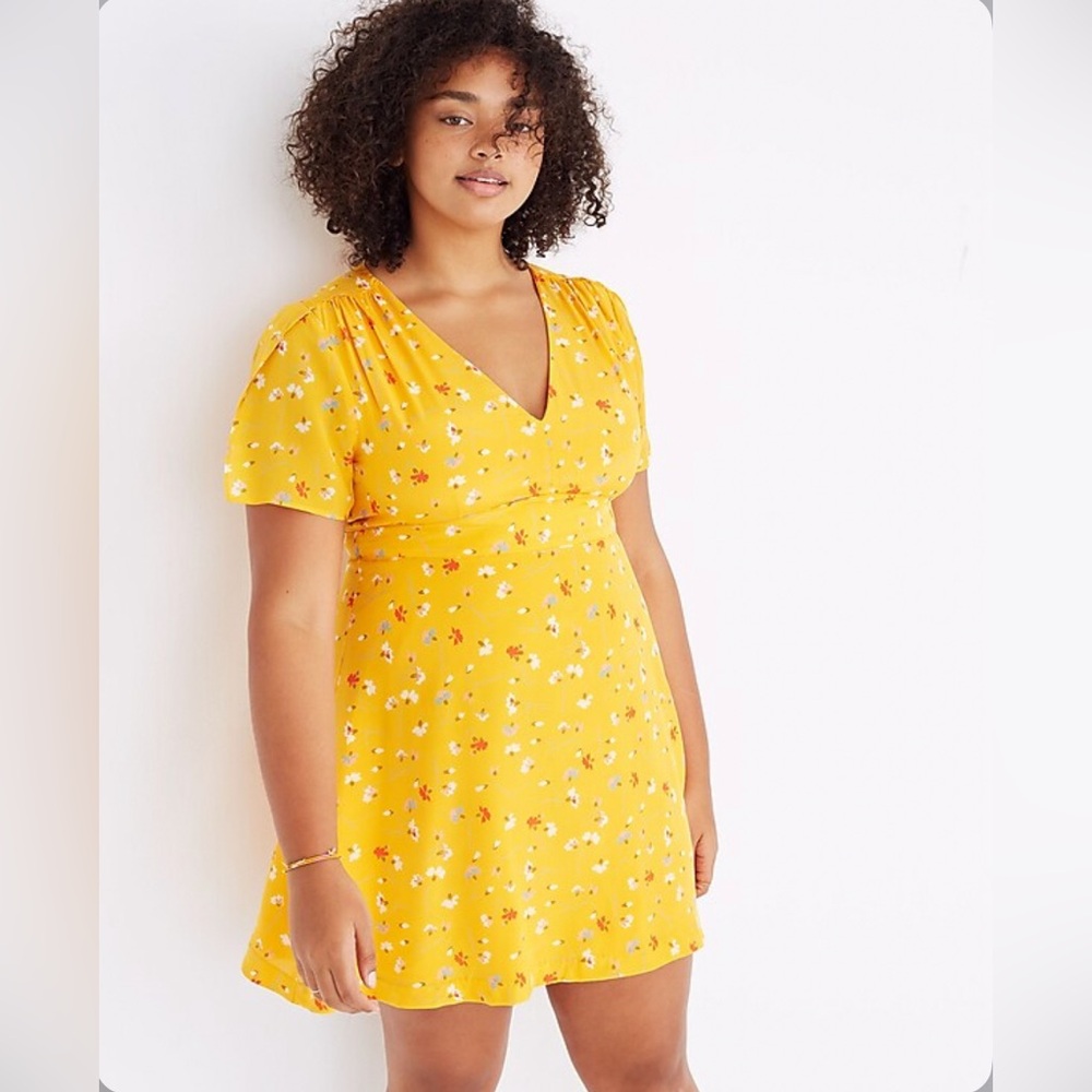 Madewell Silk Belladonna Painted Dress in Carnations Size 12 - Picture 3 of 13